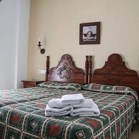 Gasthuis Easy Bronce